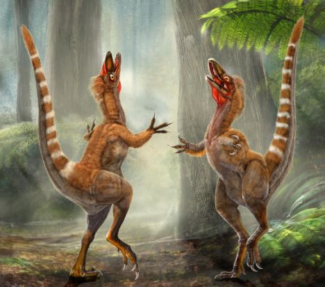 科学家首次发现恐龙颜色 中华龙鸟长着橙白相间的尾巴
