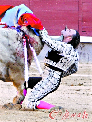 西班牙斗牛士被牛刺穿咽喉