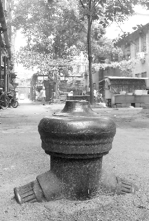 院儿里有个锃亮的老消防栓