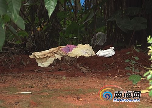 海口:綠化帶發現一女死嬰 警方介入調查[圖]