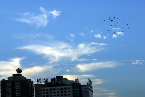 [央广快讯]2010年北京空气质量优良天数累计达286天