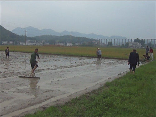 湘乡市农村人口_湘乡市地图(3)