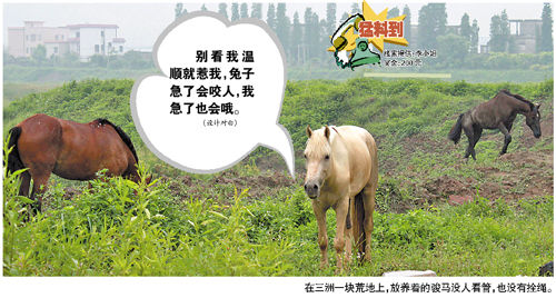 马急了也咬人_新闻中心_新浪网