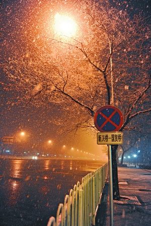 今日凌晨1时许,东单路口雨雪纷飞.李振摄