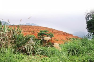 > 正文 發現青銅錛的遺址遠景 本報訊(記者 陳穎旭 李劍準 通訊員