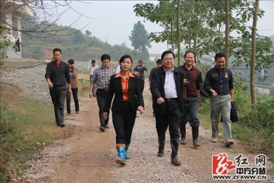 县委调研员储安群的陪同下检查职教基地建设工作,对紫荆西路,芷江