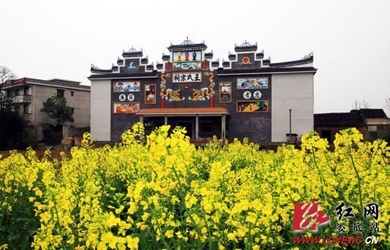 婁底鎖石打造萬畝油菜鄉村旅遊