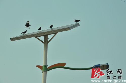 1383034189_VjBAdR.jpg