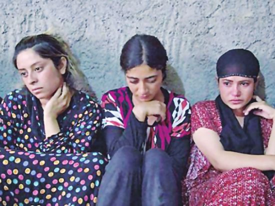 is开设性奴交易市场