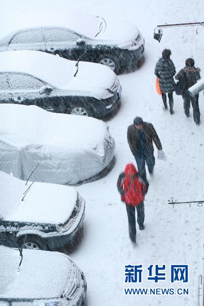 黑龍江迎來大範圍降雪降溫天氣(組圖)