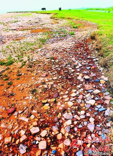 巢湖唐咀水下遗址露"芳容"(图)