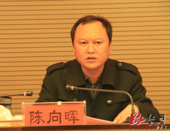 县委副书记陈向晖讲话