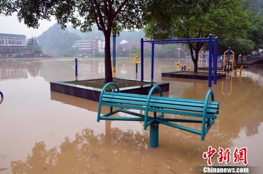 杨军卫 摄   中新网怀化5月14日电 (胡益龙 梁光生 戴江锦)"40多亩