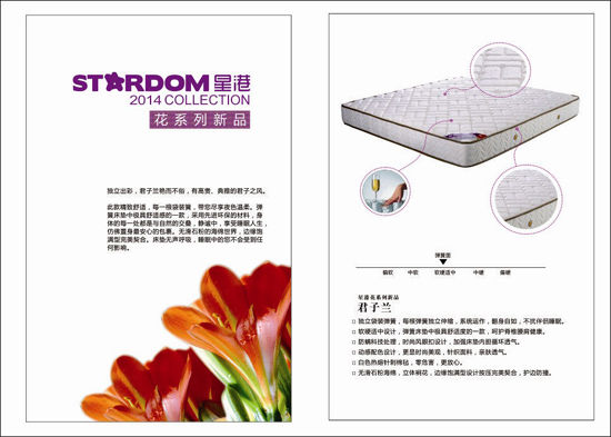 中国人感恩行孝更实际化 知名品牌星港床垫成送家人新选