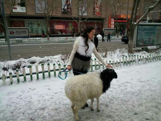 农村姑娘骑羊图片