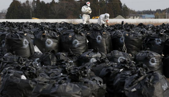 他们拿着巨大的黑色塑料袋,收集受到核污染的土壤,树叶以及垃圾