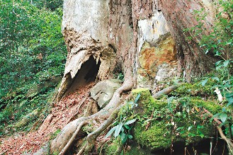 神木有多少人口_争议书记雷正西背后的神木神话 兴衰由煤价(2)