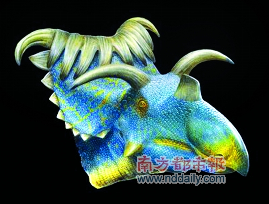 两种新恐龙好奇怪 头上多角真惹人爱