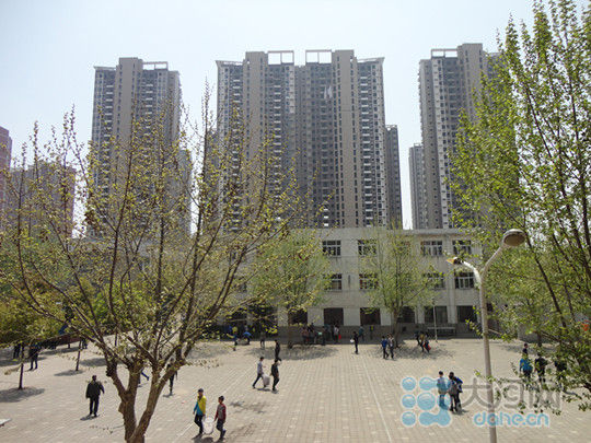 站在郾城区城关镇中学教学楼上,能看到对面"操场"上崛起的商品楼.