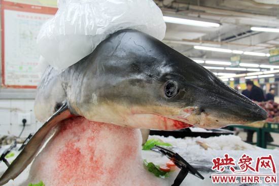 超市售卖整条大鲨鱼 市民感慨比牛羊肉便宜