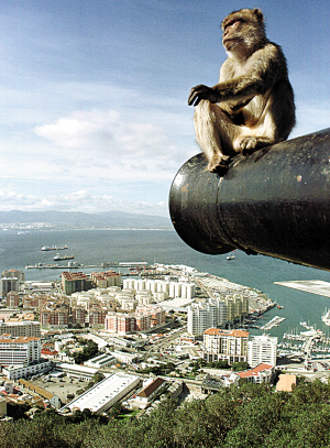 直布罗陀惩处"山大王"