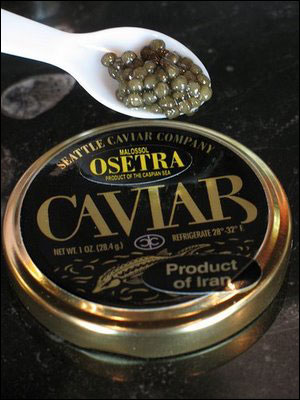 为保护鲟鱼数量伊朗减产鱼子酱图