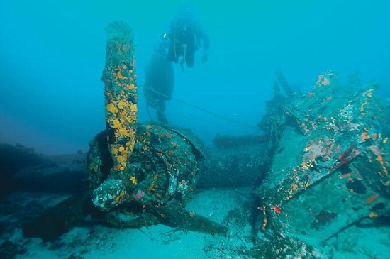 二战轰炸机残骸现身海底飞行员堂弟曾苦寻27年