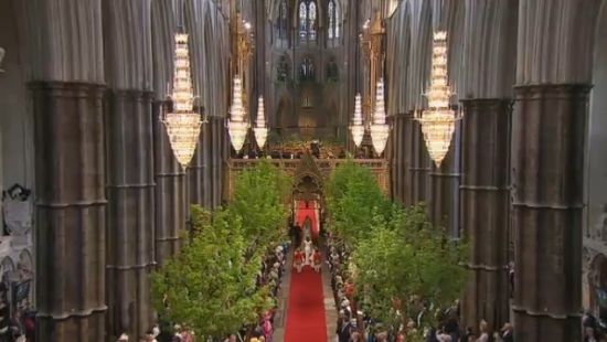 英国王室婚礼场面巨大吓坏参加活动的少男少女