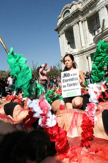组图:墨西哥动物保护者裸体静卧抗议斗牛