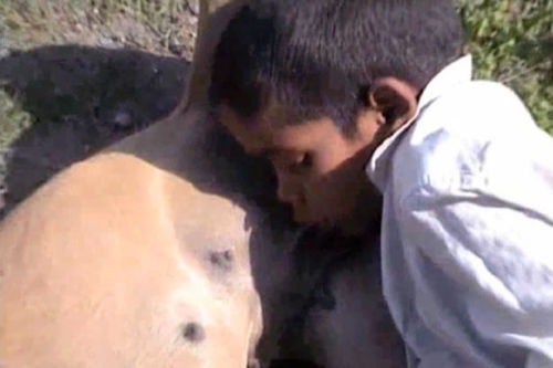 印度家境贫困男童2年靠允吸狗奶充饥(图)