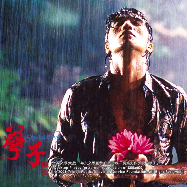 资料图片:电视连续剧《孽子》精彩剧照(23)