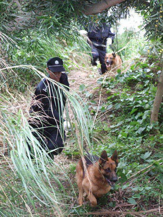 资料图片电视剧警眼精彩剧照19