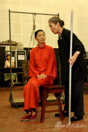 图文原野探班焦母劝说金子