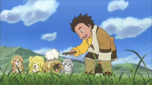 《藏獒多吉》将映 盘点电影中的人狗情缘(图)