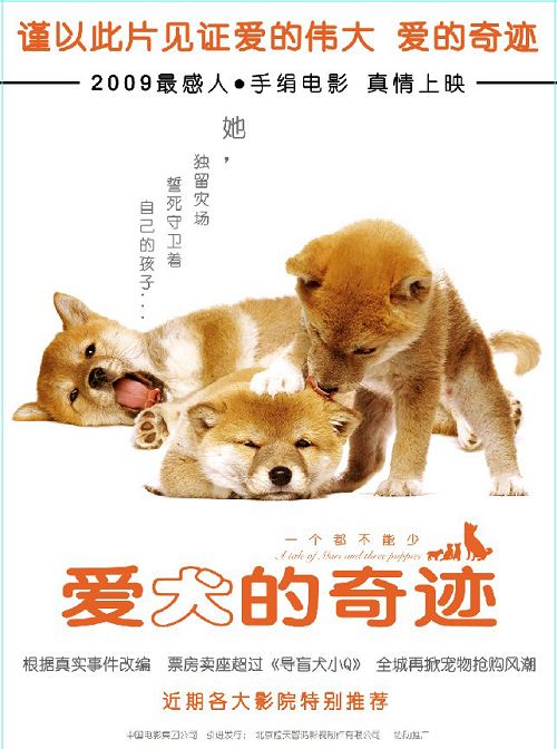 《爱犬的奇迹》海报新浪娱乐讯 近日,由橙天嘉禾,中影集团联合引进