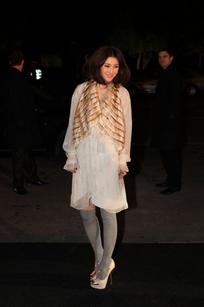 陈燃亮相红毯秀 搭配高手再现时尚魅惑(组图)