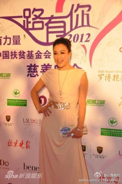 晚会主要以慈善拍卖和现场认捐的形式筹集善款,那英(微博),马艳丽