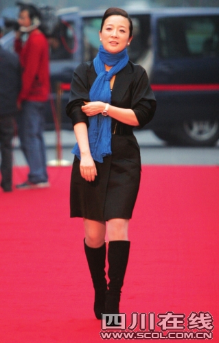 成都台收视颁奖晚会举行 张国立陈小艺成爱