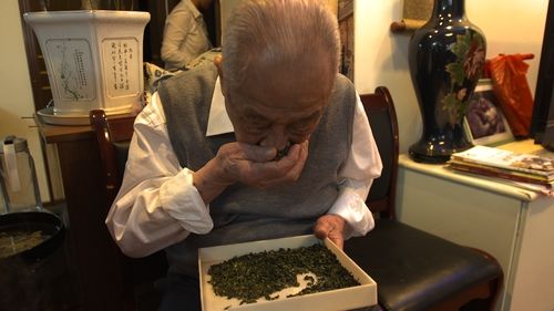 张天福