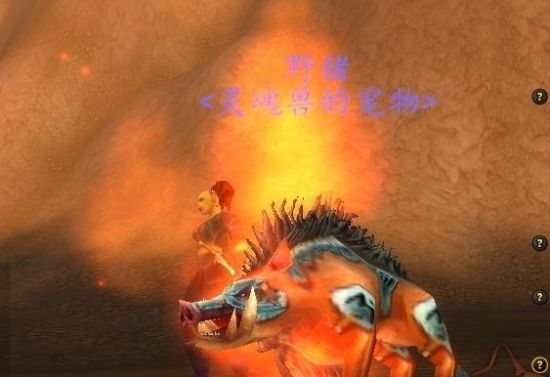 火焰猪捕捉方法还有自己抓到了之后不想让别人知道的兄弟,lr一直以来