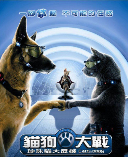 猫狗大战