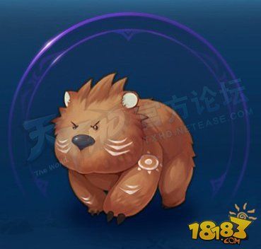 天下hd金刚幼熊元魂图鉴 金刚幼熊元魂进阶