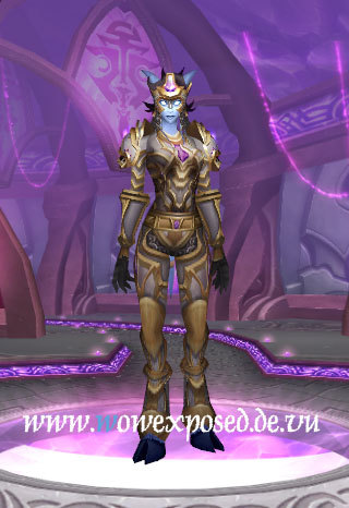 资料片t4套装试衣间圣骑士