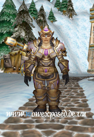 资料片t4套装试衣间圣骑士