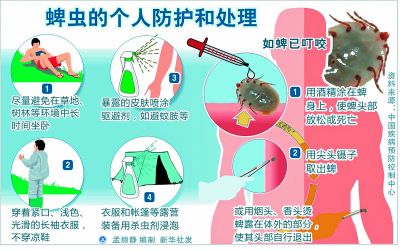 泉州未发现全沟硬蜱 专家支招防蜱虫