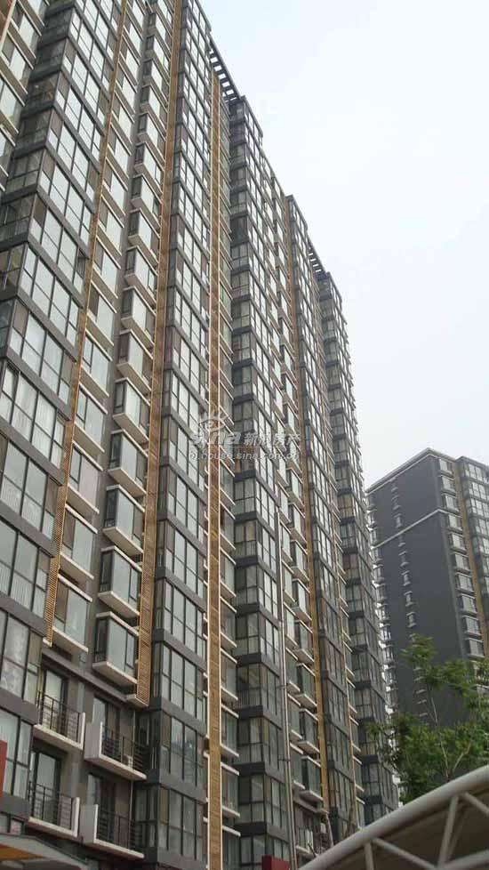 慧谷金色家园 实景图 项目外观