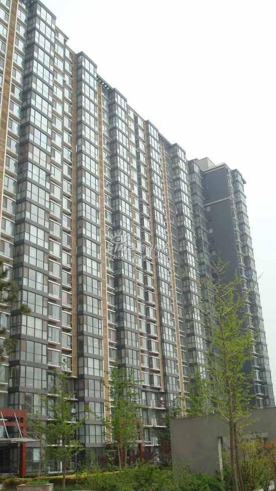 慧谷金色家园 实景图 项目外观