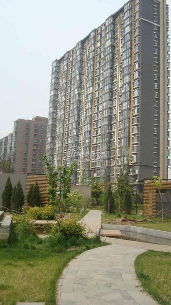 慧谷金色家园 实景图 项目外观