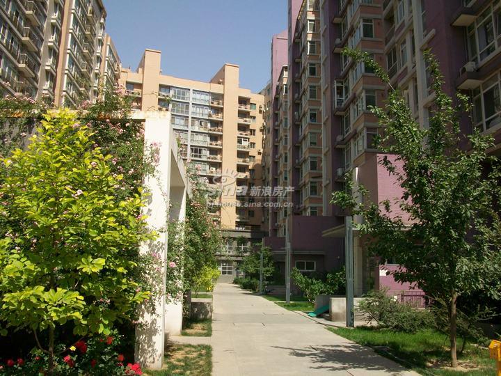 远洋风景 实景图 楼体实景