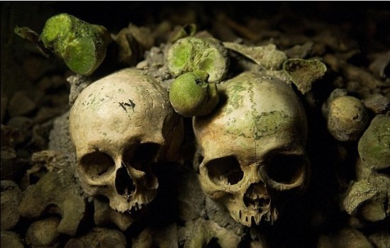 欧洲工地频繁挖掘出尸骨美媒开发商掘死人墓